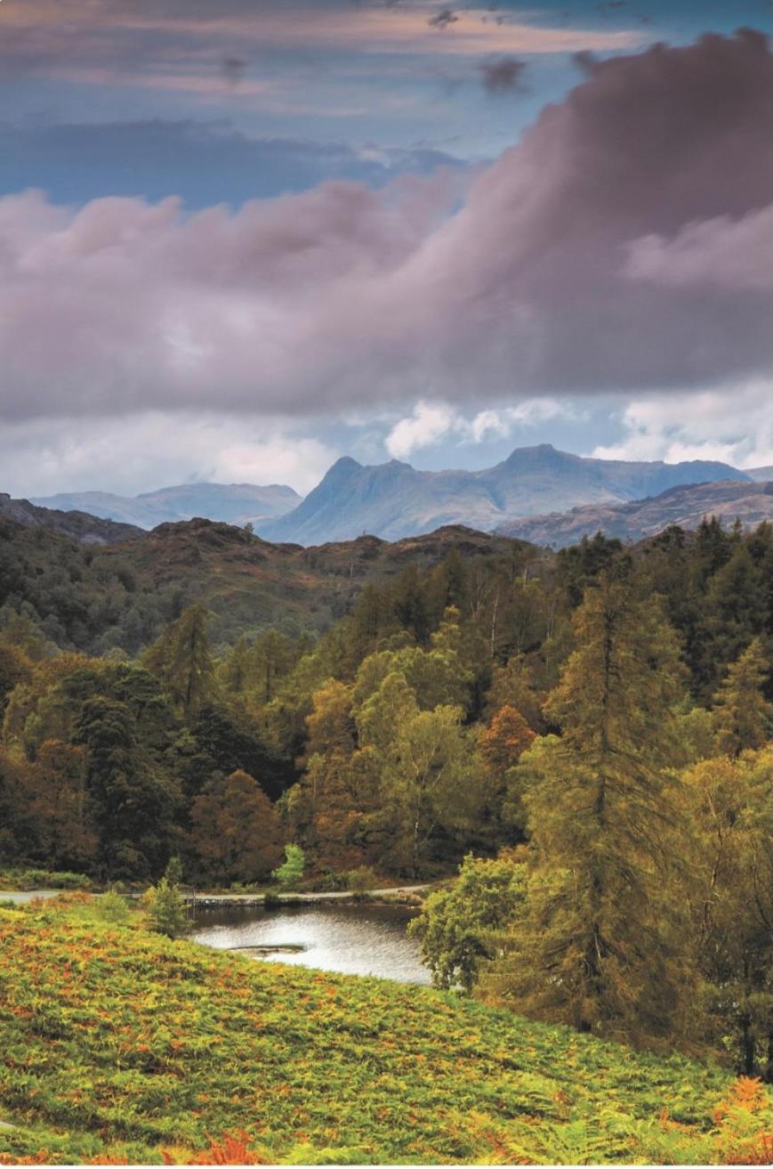 Yewfield Self Catering Apartments Hawkshead Kültér fotó